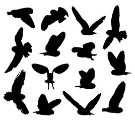 Owl set silhouettes