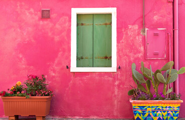 window on pink background with flower pots