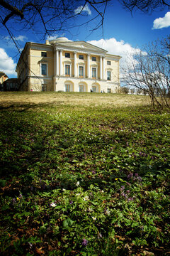 A beautiful antique yellow mansion stands on a hill in the park, in the foreground there are spring flowers blossoming