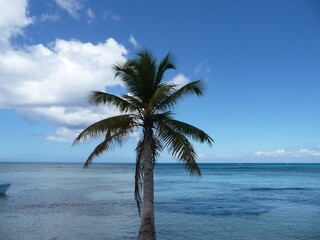 Saona - Dominikanische Republik