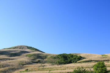 Obraz premium 愛媛県四国中央市 塩塚高原の風景