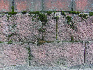Masonry overgrown with moss, dark red color, background, texture