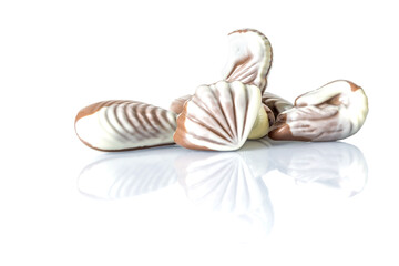 Chocolate candy in the form of sea shells on white table with reflection isolated on white background