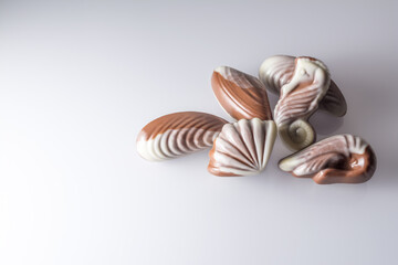 Chocolate candy in the form of sea shells on white table with reflection