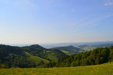 Fototapeta na wymiar Blick vom Rosskopf auf den Schwarzwald