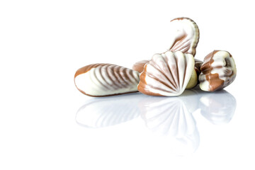 Chocolate candy in the form of sea shells on white table with reflection isolated on white background