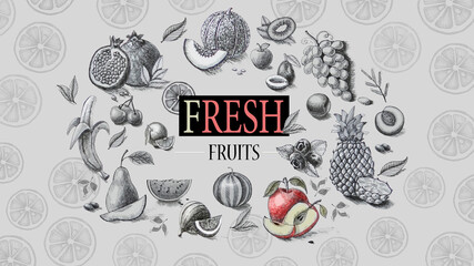Organic food. Fresh fruits. Pencil drawing. - 157133899