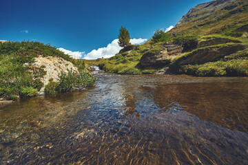 Mountain stream with clear and transparent water among alpine meadows.Trek near Matterhorn mount. View of the mountain and valley of a mountain river. Beautiful alpine landscape with a mountain path