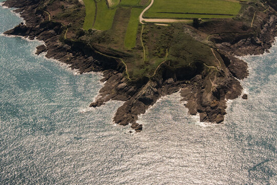 Tannée Images Browse 45 Stock Photos Vectors and Video Adobe Stock