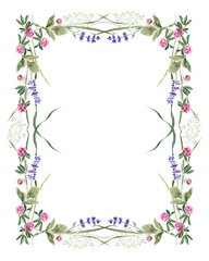 Delicate summer frame with flowers and leaves of clover, lavender, strawberry and herbs. Hand drawn watercolor painting.