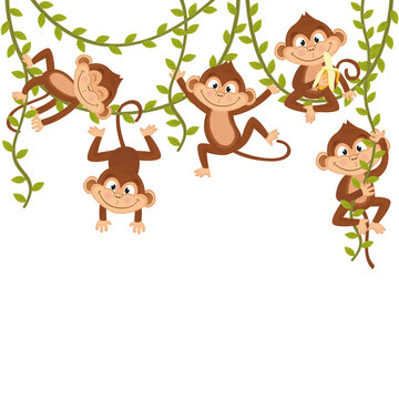 monkey on vine  - vector illustration, eps
