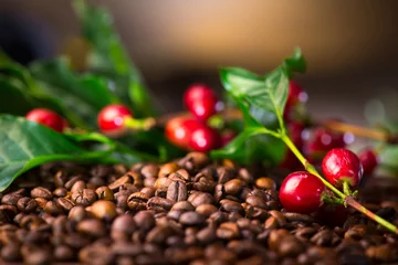 Fototapeten Coffee. Real coffee plant with red beans on roasted coffee beans background  © Subbotina Anna