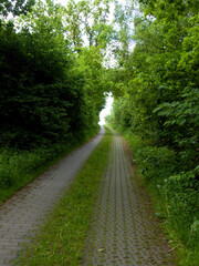 Fototapeta premium Geroda Thüringen