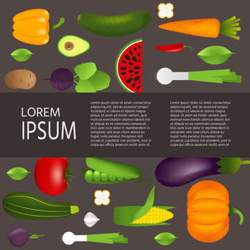 Healthy vegetables such as: carrot, onion, tomato, pepper, eggplant, cucumber, cabbage, pumpkin, watermelon, avocado