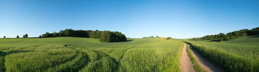 Fotobehang Panorama zomer groen veld landschap met onverharde weg © luchschenF