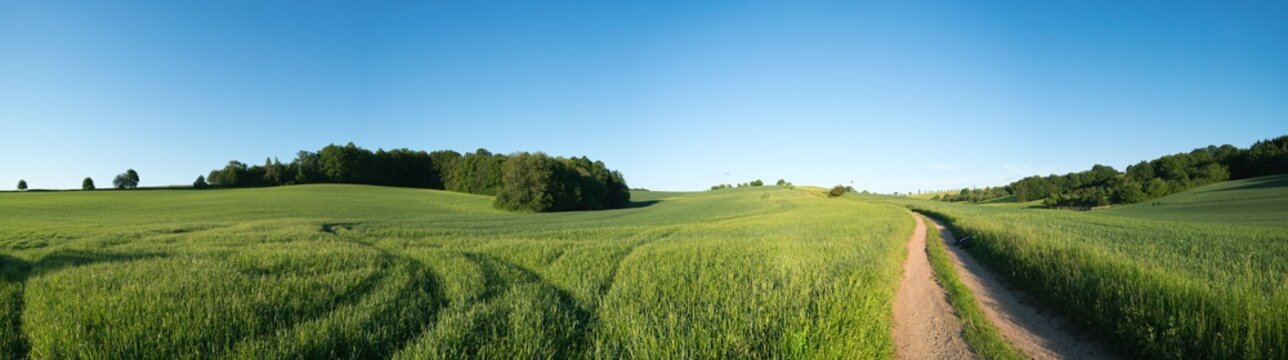  Panorama summer green field landscape with dirt road