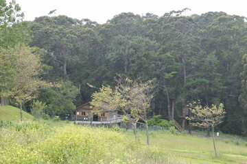 Obraz premium Santander