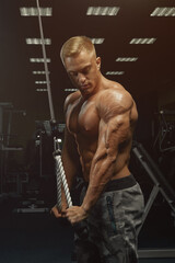 Fototapeta na wymiar Confident Handsome Athletic Bodybuilder Workout Triceps Pushdown Rope Attachment