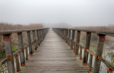 Obraz premium Puente de madera en el parque nacional de las Tablas de Daimiel. Ciudad Real. España.
