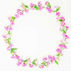 Fototapeta na wymiar Floral round frame made of pink flowers on white background. Flat lay, top view. Floral concept