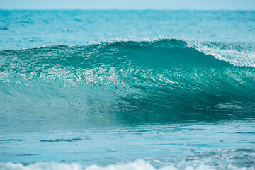 Obraz na płótnie Canvas Blue ideal wave in tropical ocean. Wave barrel crashing and clear water.