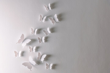  white butterflies background, butterfly paper wall