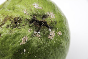 The rotten guava isolated on a white background.
