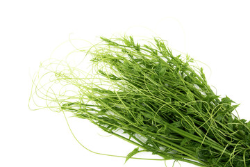 Healthy eating background. Food photography vegetables isolated white background.