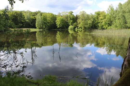 Waldsee