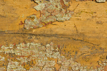 Old peeling paint. Old floorboards.