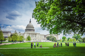 Washington DC - Capitol - obrazy, fototapety, plakaty