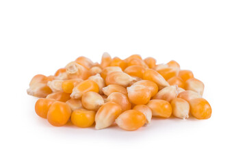 Corn for popcorn on a white background