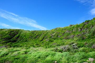 Fototapeta na wymiar 城ケ島の崖と空
