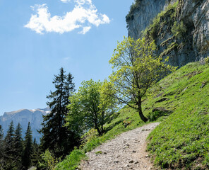 Fototapeta premium Berge und Hügel auf der Ebenalp