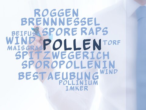 Pollen