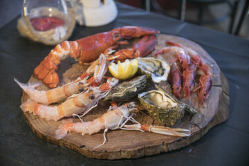 shellfish, seafood, food, ice, shell, sea, raw, and, lemon, gourmet