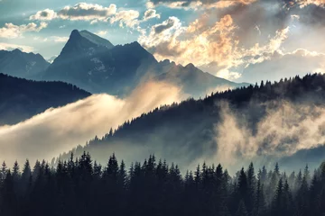 Fotobehang Mistig ochtendlandschap met bergketen en dennenbos in hipster vintage retro stijl © savantermedia