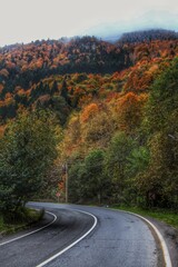 Trabzon Uzung&ouml;l