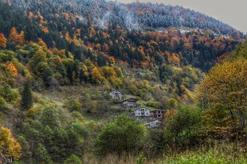 Trabzon Uzung&ouml;l