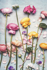 Flowers flat lay with beautiful  flowers and petals, on vintage turquoise background, top view