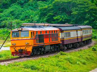 Obraz premium Passenger train was passing rural area, 2016. (Taken form public road.)