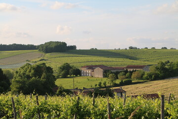La Grande Champagne en Charente