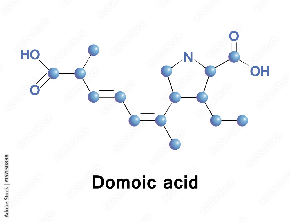 Poster Domoic acid is a kainic acid analog neurotoxin that causes amnesic shellfish poisoning. It is produced by algae and accumulates in shellfish, sardines, and anchovies.