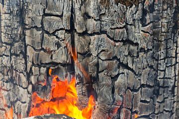 Fragment of the burned log in the fire. At the bottom there is a hole with fire inside. Texture....