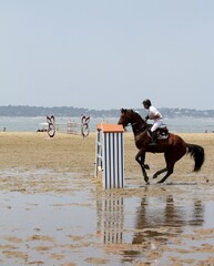 concours de saut d'obstacles ,concours hippique, plage Pereire,Arcachon,jumping des sables