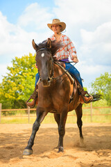 Cowgirl doing horse riding on countryside meadow