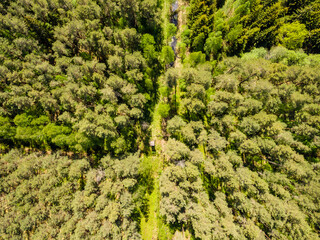 Fototapeta na wymiar drone image. aerial view of rural area with forest and swamp lake