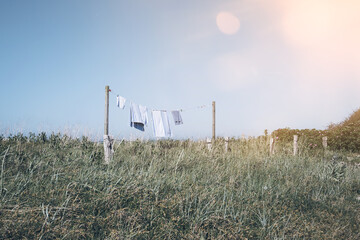 blue and white towels on clothesline in the midst of green bushes under clear blue sky