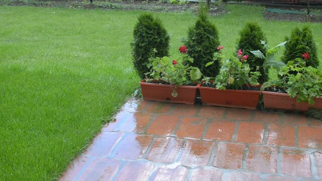 Light rain falling in a garden on flower pots and a lawn