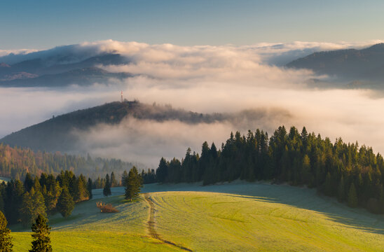 Fototapeta Morning panorama of Pieniny and Beskidy mountains, Poland landscape